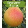 Саженцы груши Любимица Клаппа -  5 шт.: фото и описание