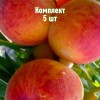 Саженцы Персика Радужный 86 - 5 шт.: фото и описание